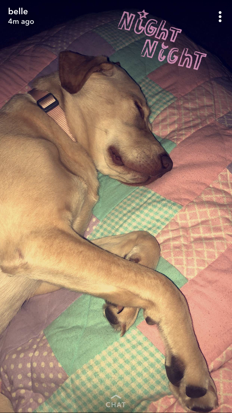 sleepy